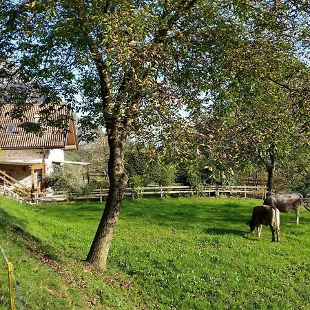 Chalet La Nos Molina di Ledro Room photo