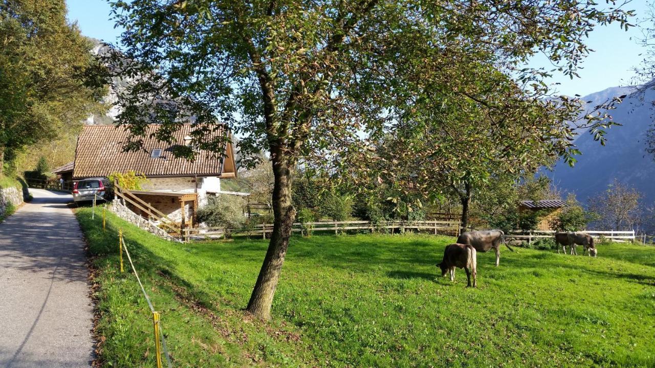 La Nos